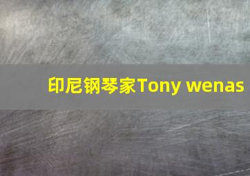 印尼钢琴家Tony wenas